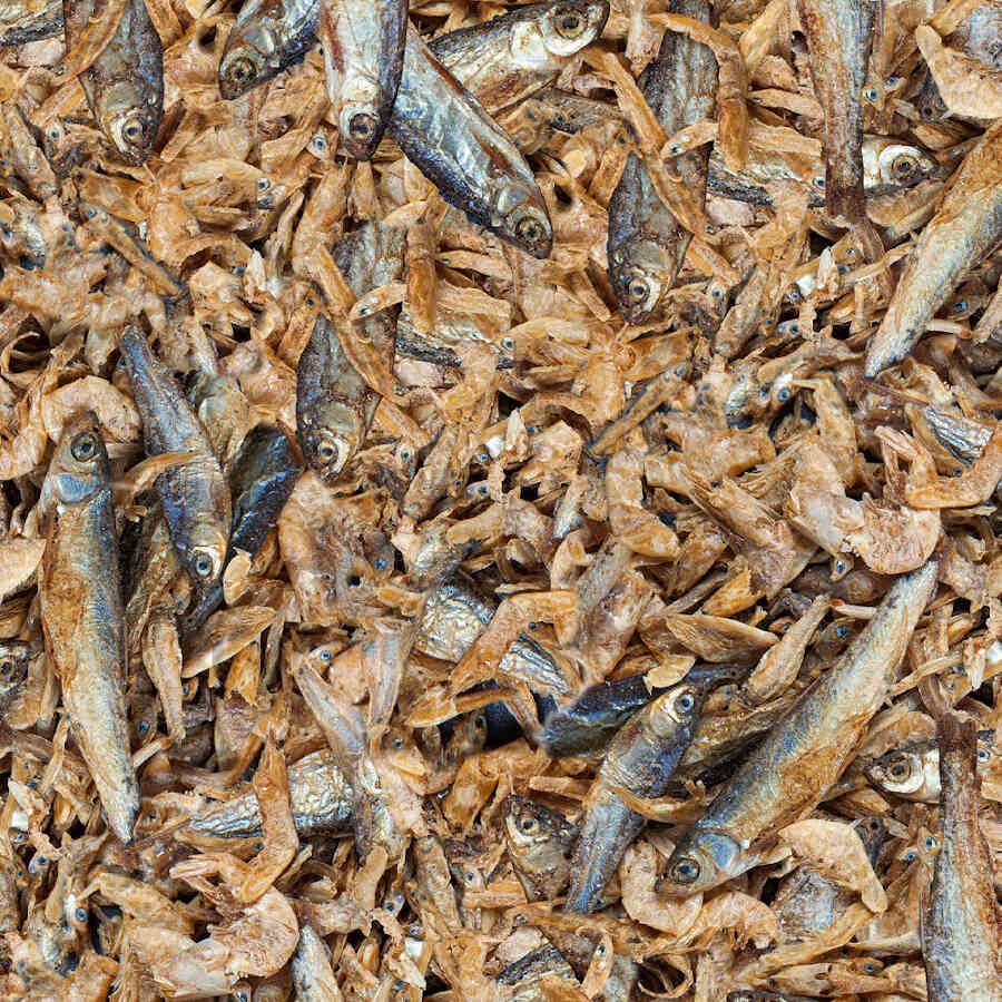 Sera Raffil Royal Nature alimento para reptiles, , large Imagen numero 2